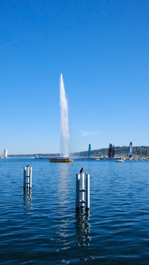 Jet d’eau am Genfersee